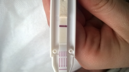 Home Pregnancy Test