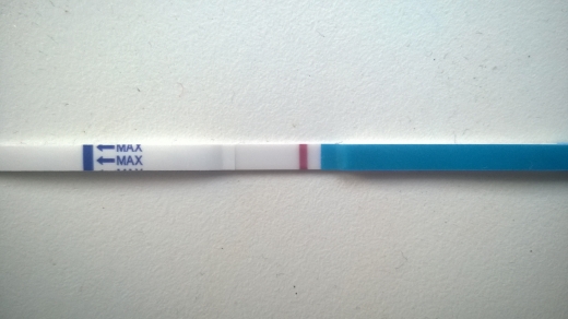 Home Pregnancy Test