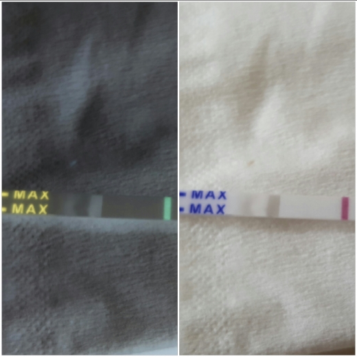 First Signal One Step Pregnancy Test, FMU, Cycle Day 31