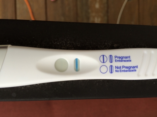 Rite Aid Early Pregnancy Test, 14 Days Post Ovulation, FMU, Cycle Day 29