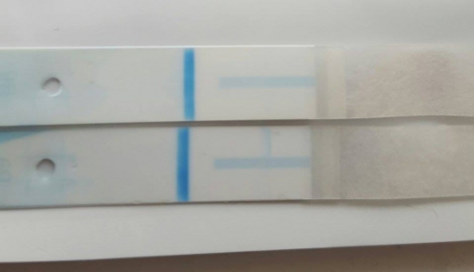 Clearblue Plus Pregnancy Test, 21 Days Post Ovulation, FMU, Cycle Day 35