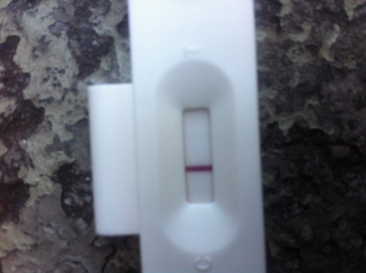 U-Check Pregnancy Test, 10 Days Post Ovulation, Cycle Day 24