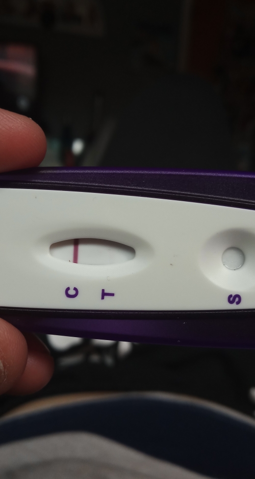 Home Pregnancy Test