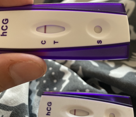 Home Pregnancy Test