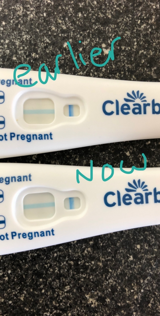 Clearblue Plus Pregnancy Test