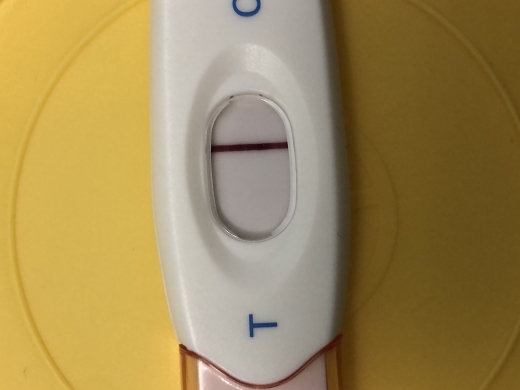 Home Pregnancy Test