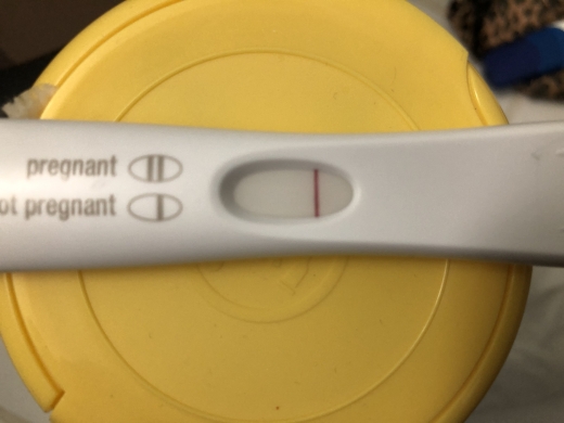 Home Pregnancy Test