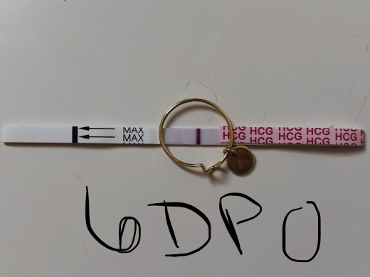 Home Pregnancy Test, 6 Days Post Ovulation, FMU