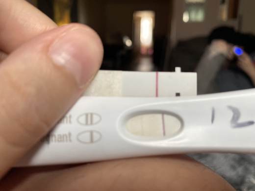 Home Pregnancy Test