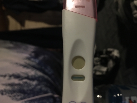 Home Pregnancy Test