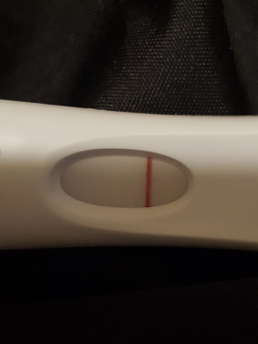 First Response Early Pregnancy Test
