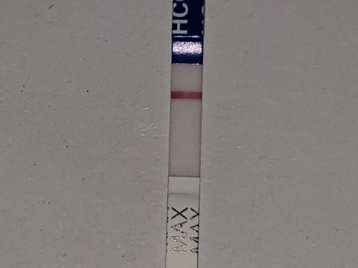 Home Pregnancy Test
