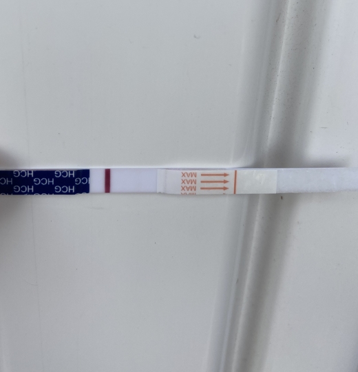 Home Pregnancy Test