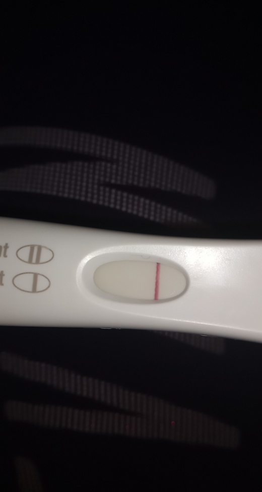 Home Pregnancy Test
