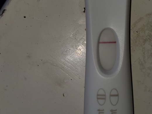 First Response Early Pregnancy Test