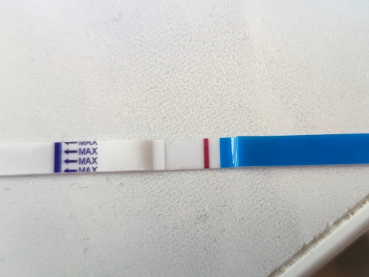 Home Pregnancy Test, 12 Days Post Ovulation