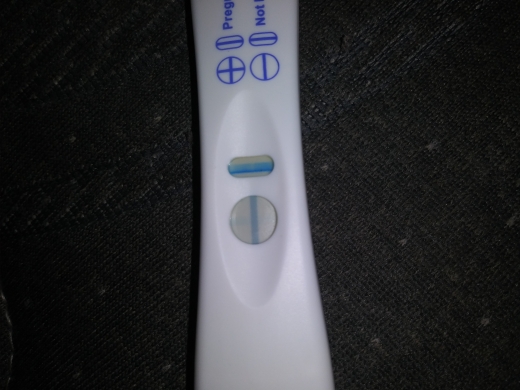 Home Pregnancy Test