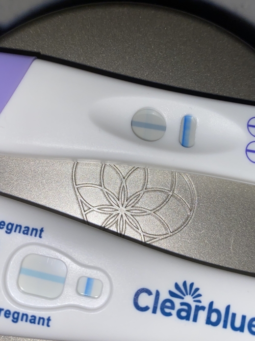 Home Pregnancy Test