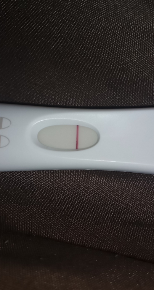 First Response Early Pregnancy Test