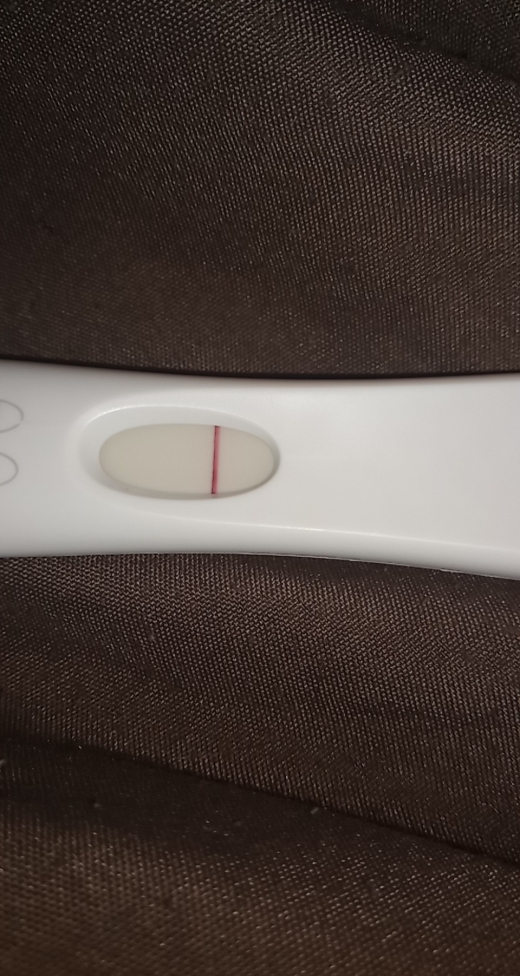 Home Pregnancy Test