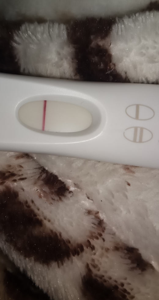 Home Pregnancy Test