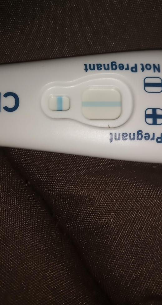 Home Pregnancy Test