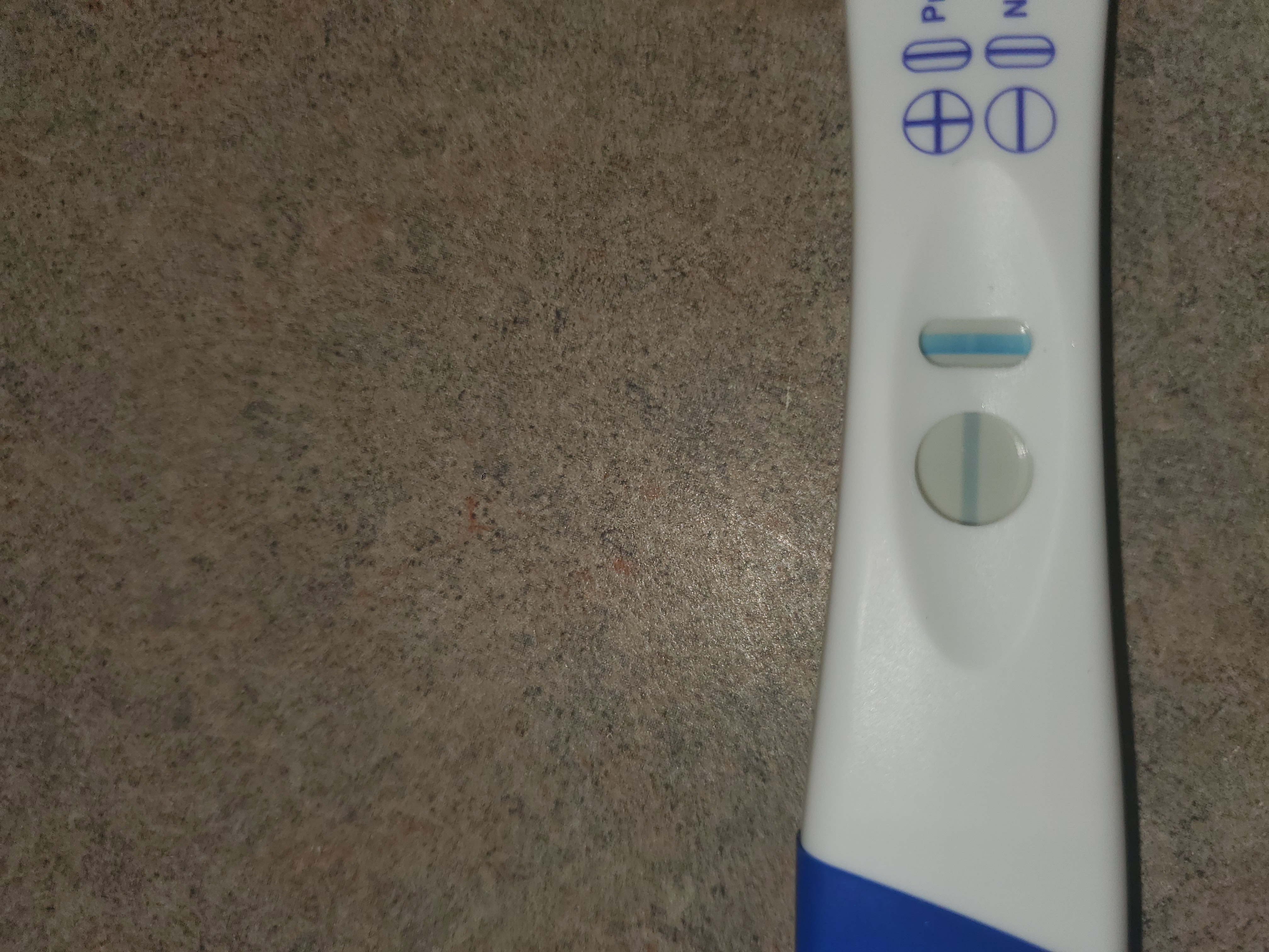 CVS One Step Pregnancy Test