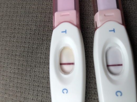 Home Pregnancy Test