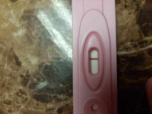 New Choice (Dollar Tree) Pregnancy Test