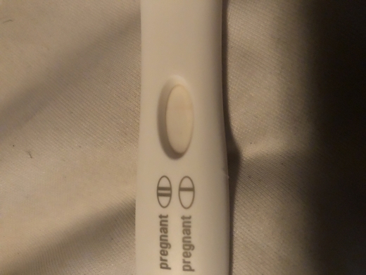 Home Pregnancy Test