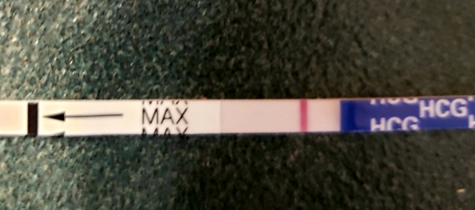 Home Pregnancy Test, 8 Days Post Ovulation