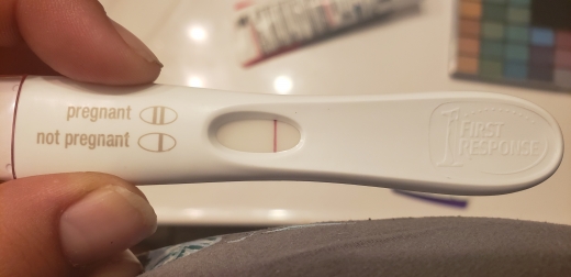 Home Pregnancy Test