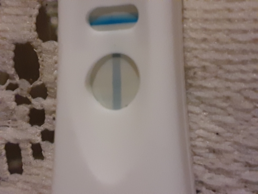 Home Pregnancy Test