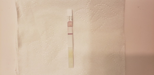 Home Pregnancy Test