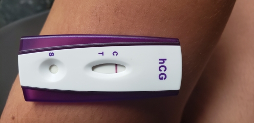 Home Pregnancy Test