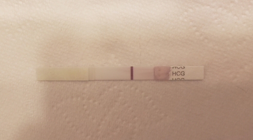 Home Pregnancy Test
