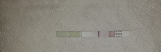 Home Pregnancy Test