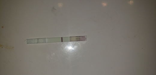 Home Pregnancy Test