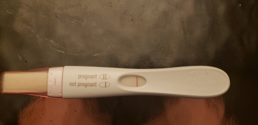 Home Pregnancy Test