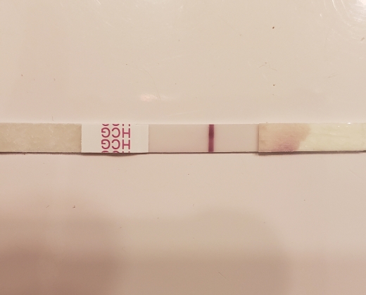 Home Pregnancy Test