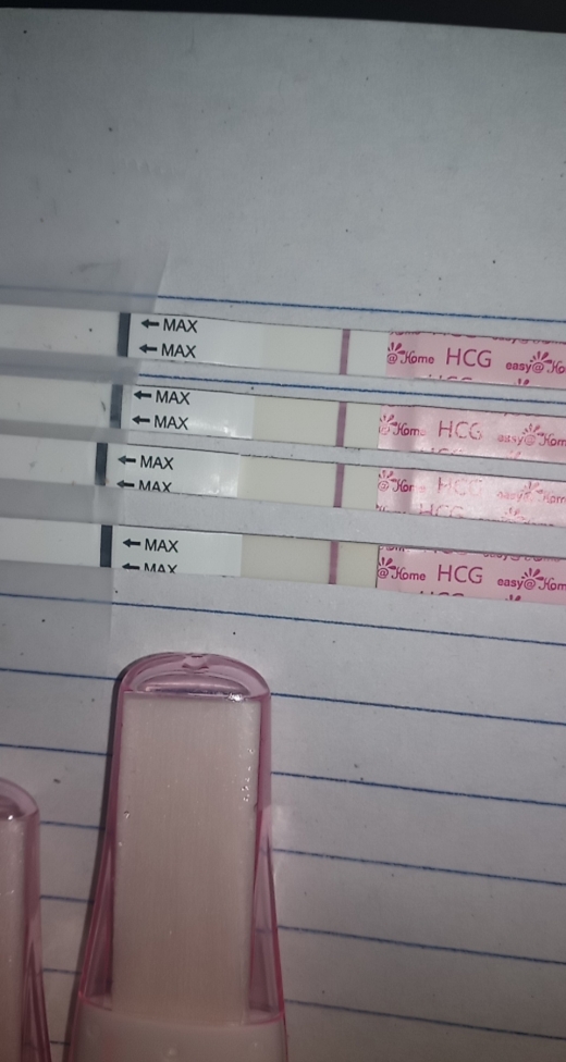Home Pregnancy Test