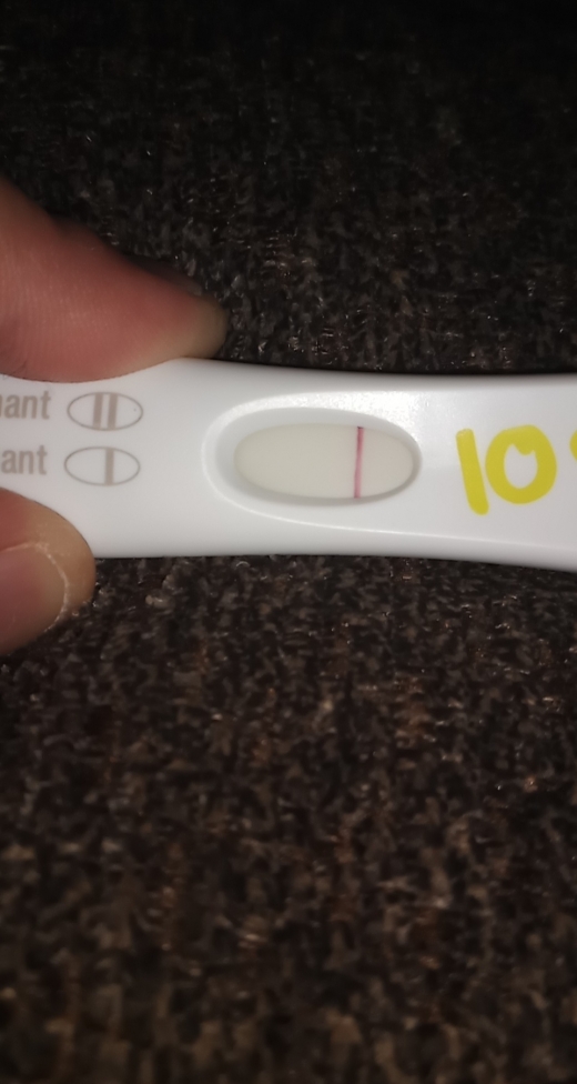 Home Pregnancy Test