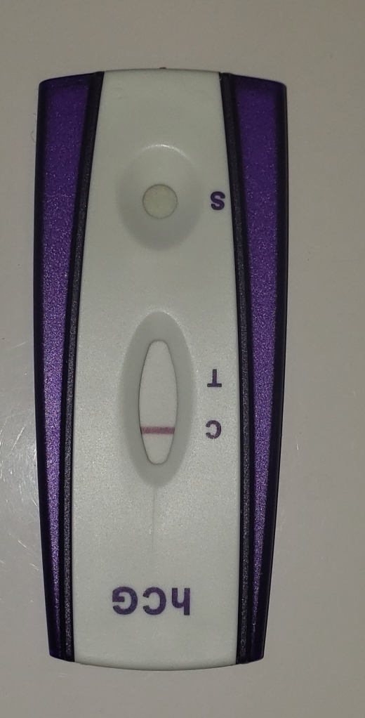Home Pregnancy Test