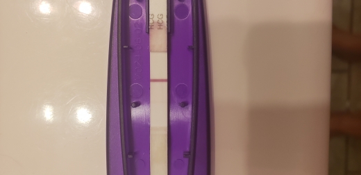 Home Pregnancy Test