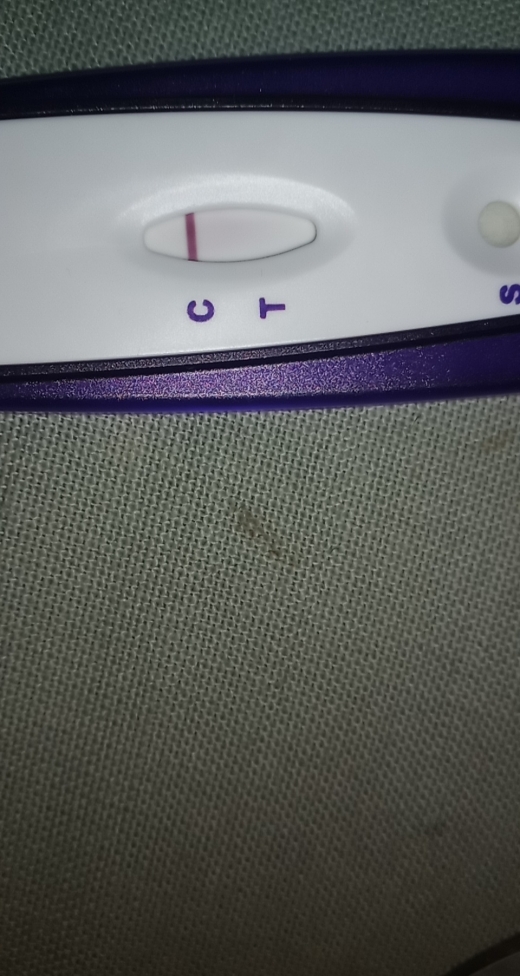 Home Pregnancy Test