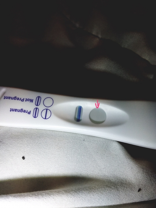 Generic Pregnancy Test, 10 Days Post Ovulation