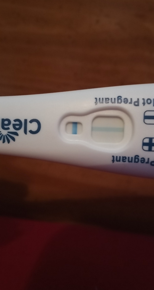 Home Pregnancy Test