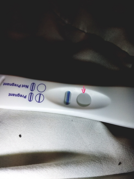 Home Pregnancy Test