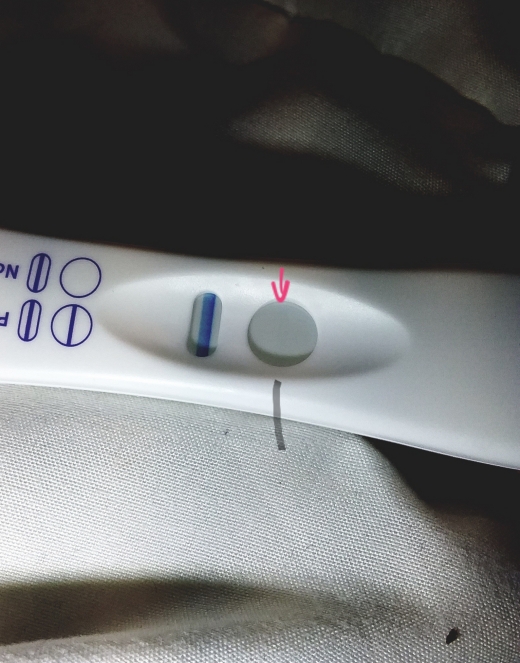 Generic Pregnancy Test