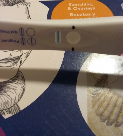 Home Pregnancy Test